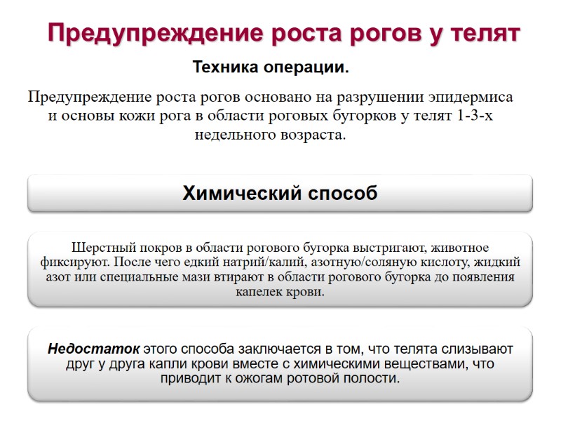 Предупреждение роста рогов у телят Техника операции. Предупреждение роста рогов основано на разрушении Предупреждение роста рогов у телят Техника операции. Предупреждение роста рогов основано на разрушении